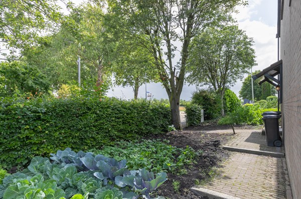 Medium property photo - Spieringweg 1029, 2136 LM Zwaanshoek